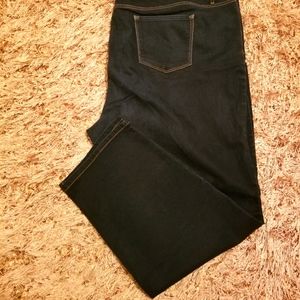 Sz 24W Gloria Vanderbilt Plus Size Jeans